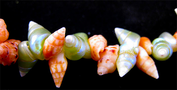 Maireener, Oat and orange kelp shell choker