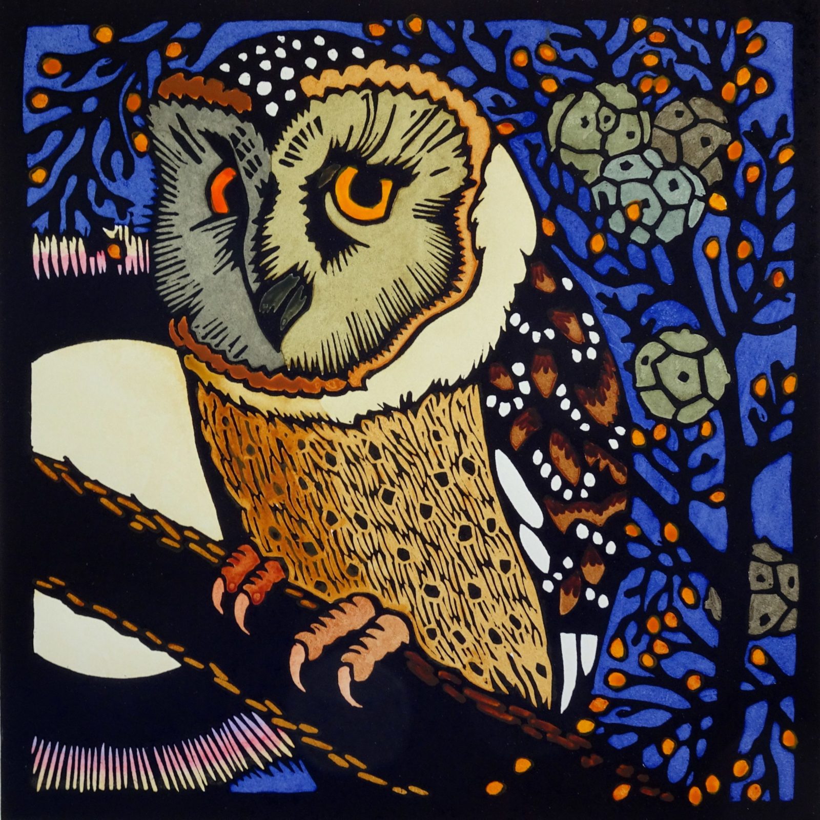 Masked owl