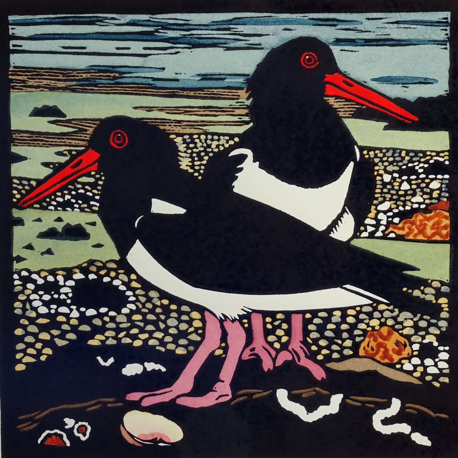 pied oyster catchers, Artist proof