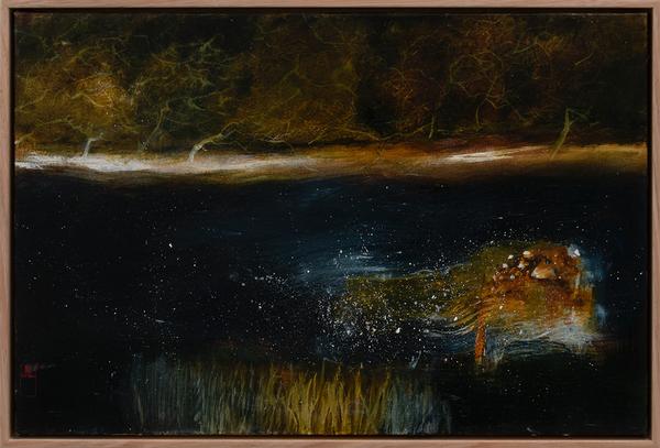 quoll swimming in the stars on the river