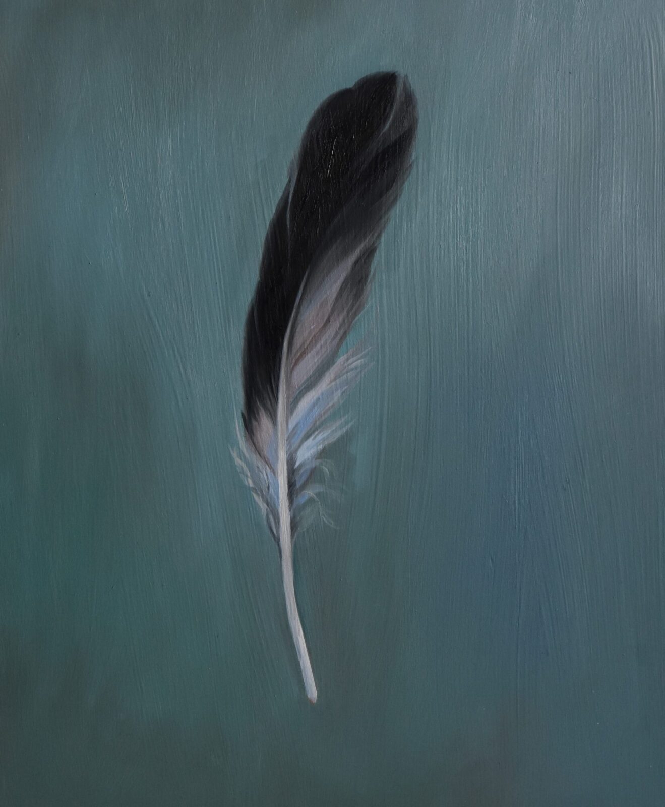 Gull Feather