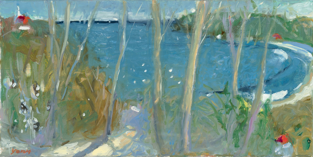 Path to the lighthouse I