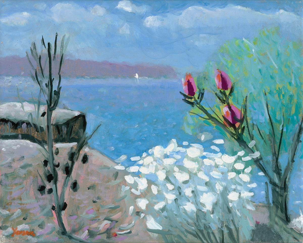 Flannel flowers, Bangalley Head II
