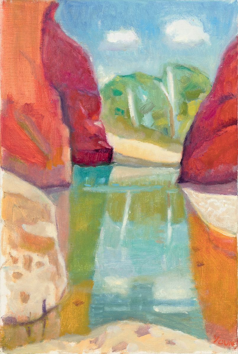 Simpsons Gap (study)