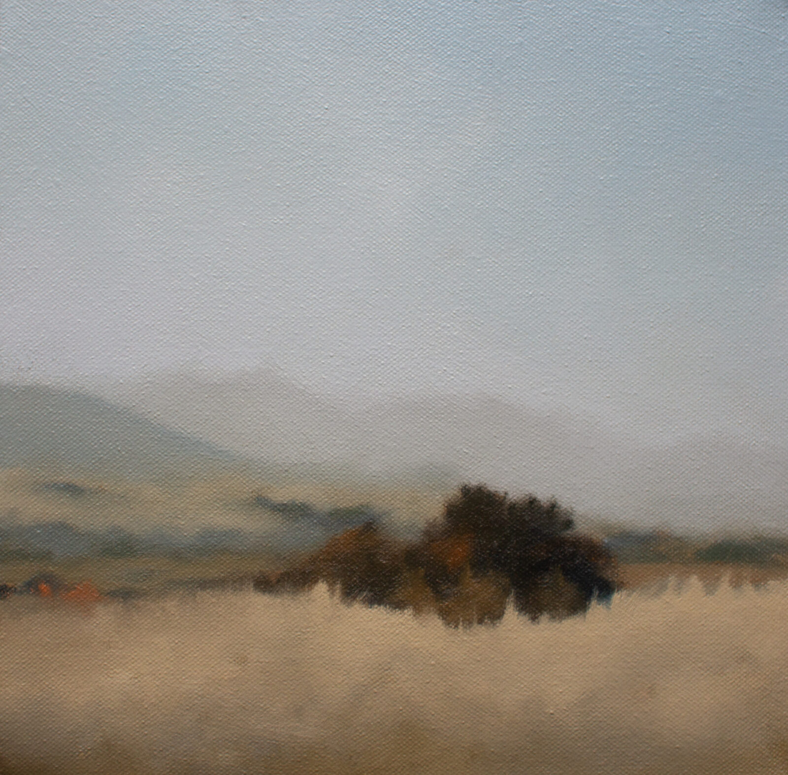 Summer Field ii (Derwent Valley)