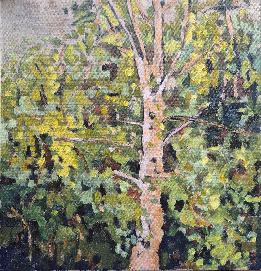 Birch Crown