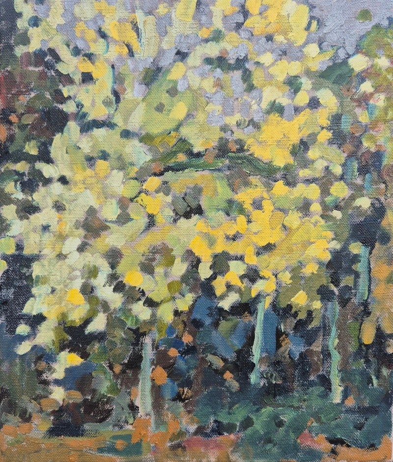 Elm in Autumn