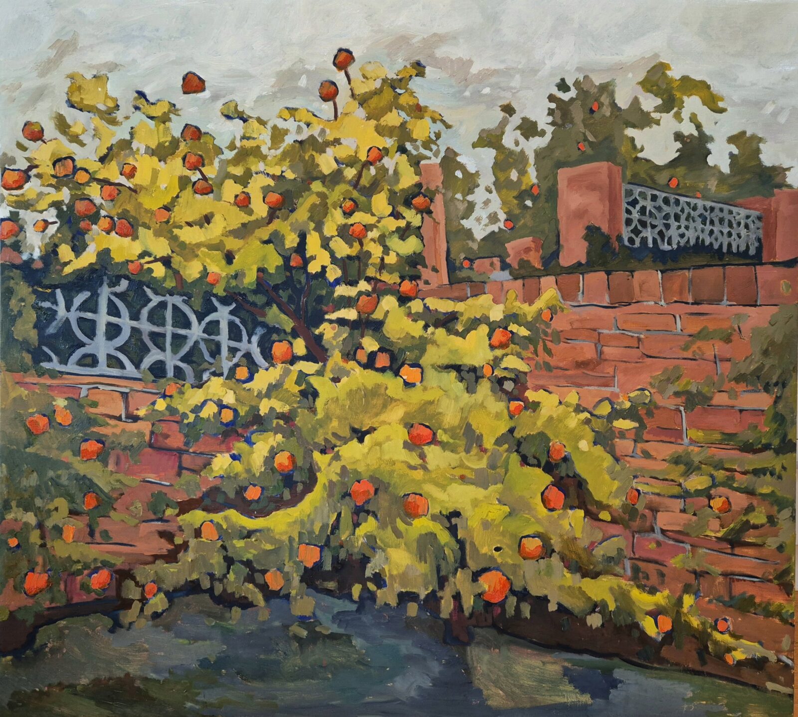 Kumquats