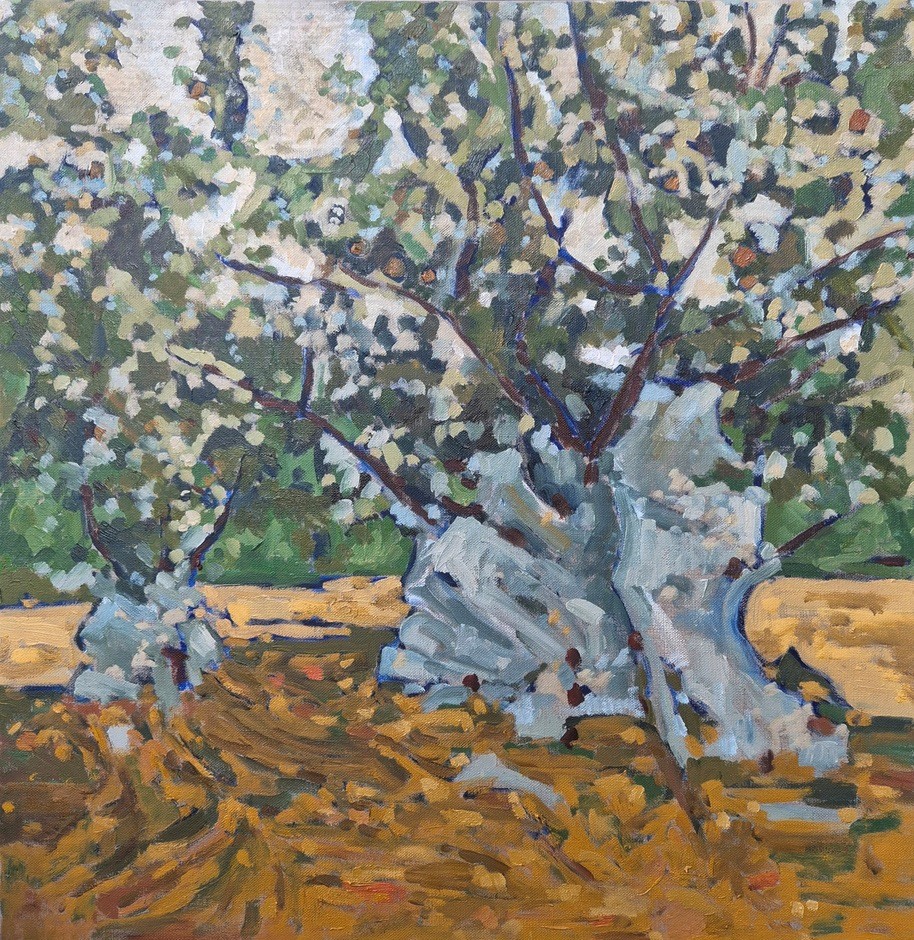 Sleeping Orchard