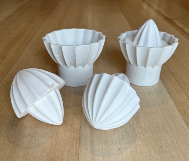 Squeeze and Scallop Cup 