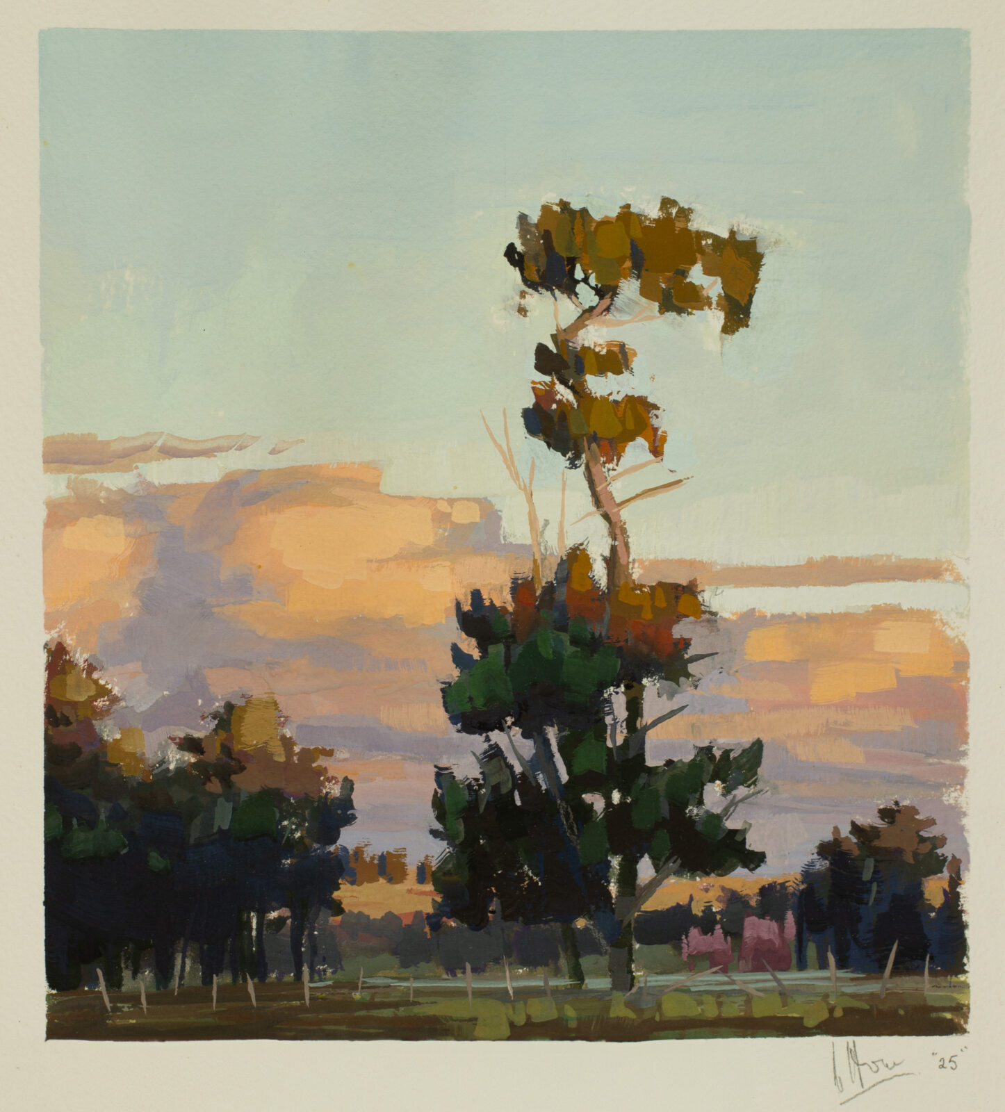 above the broken fence - study