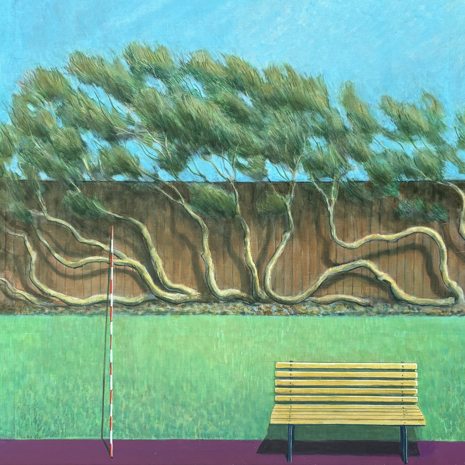 Centennial Park, Clarence Street