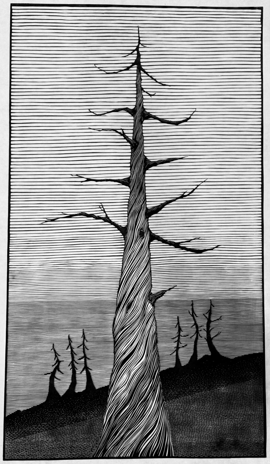 Enduring Pencil Pine, edition of 15,