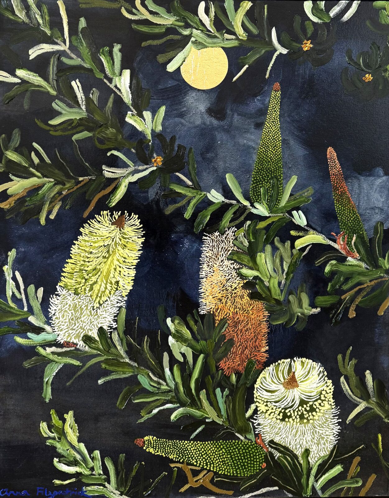 Banksia Praemorsa,