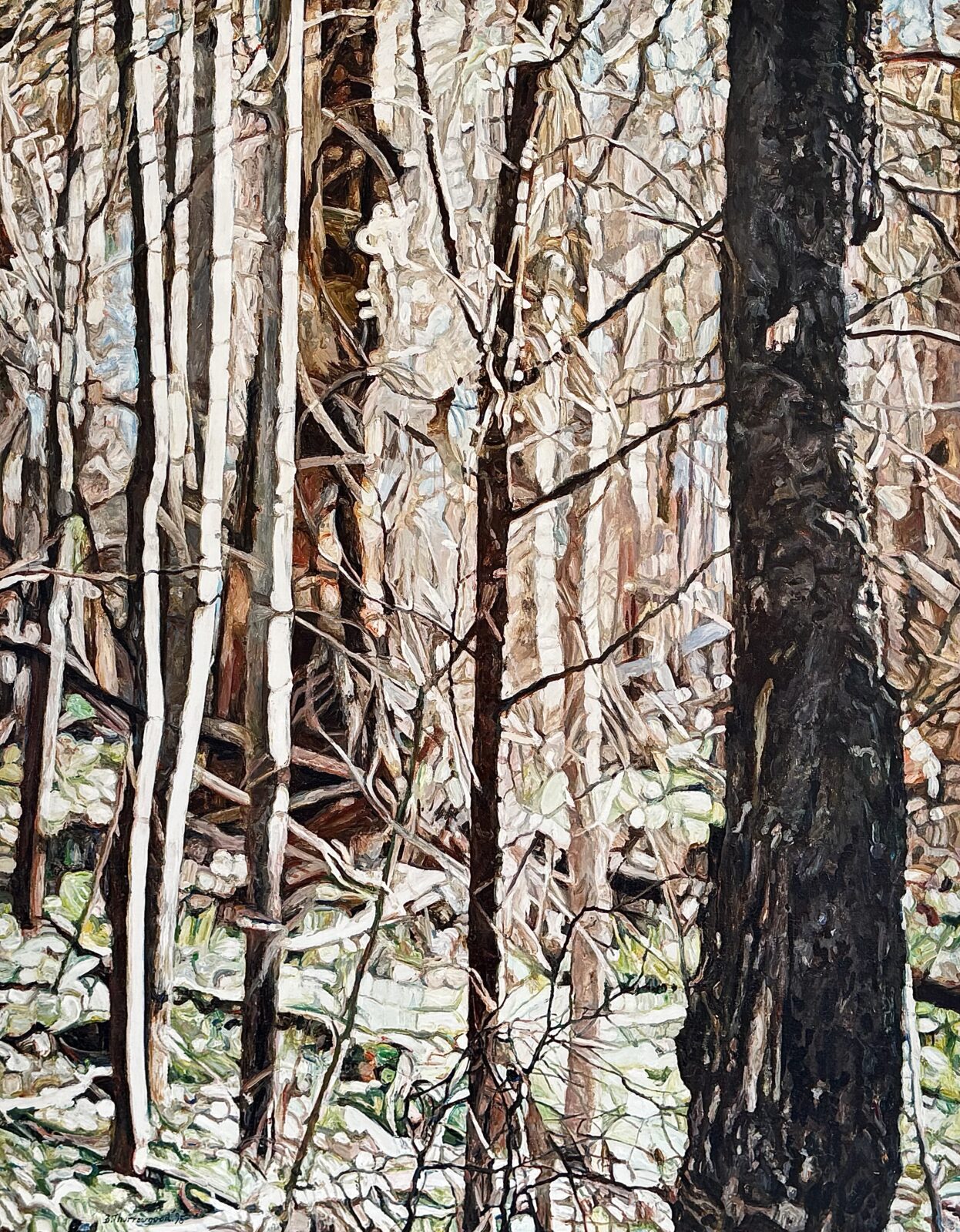 Through the Trees,
