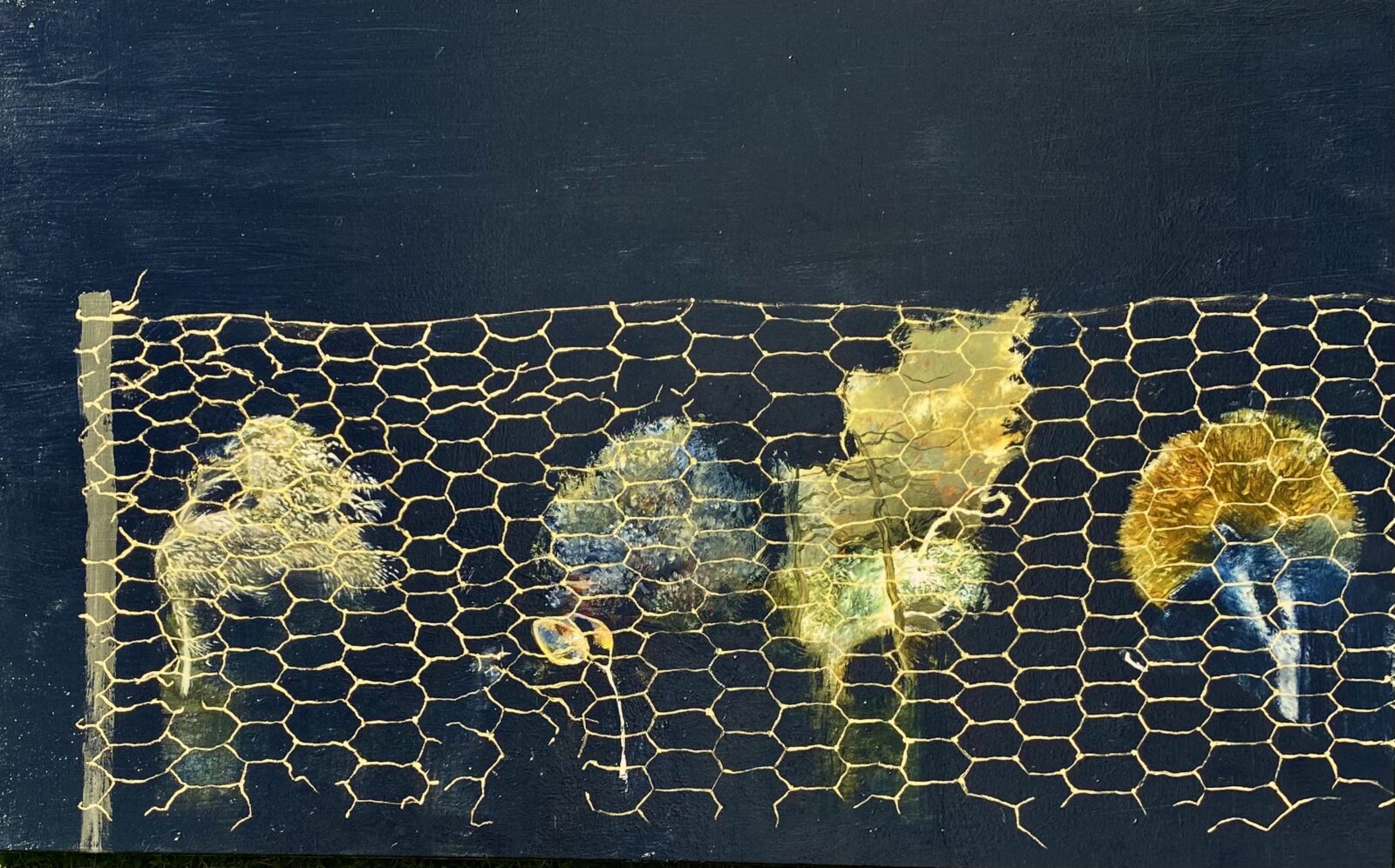 Four trees ( series: I have always used chickenwire to protect my dreams from the world)