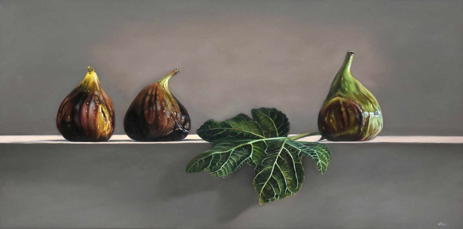 Ficus Carica