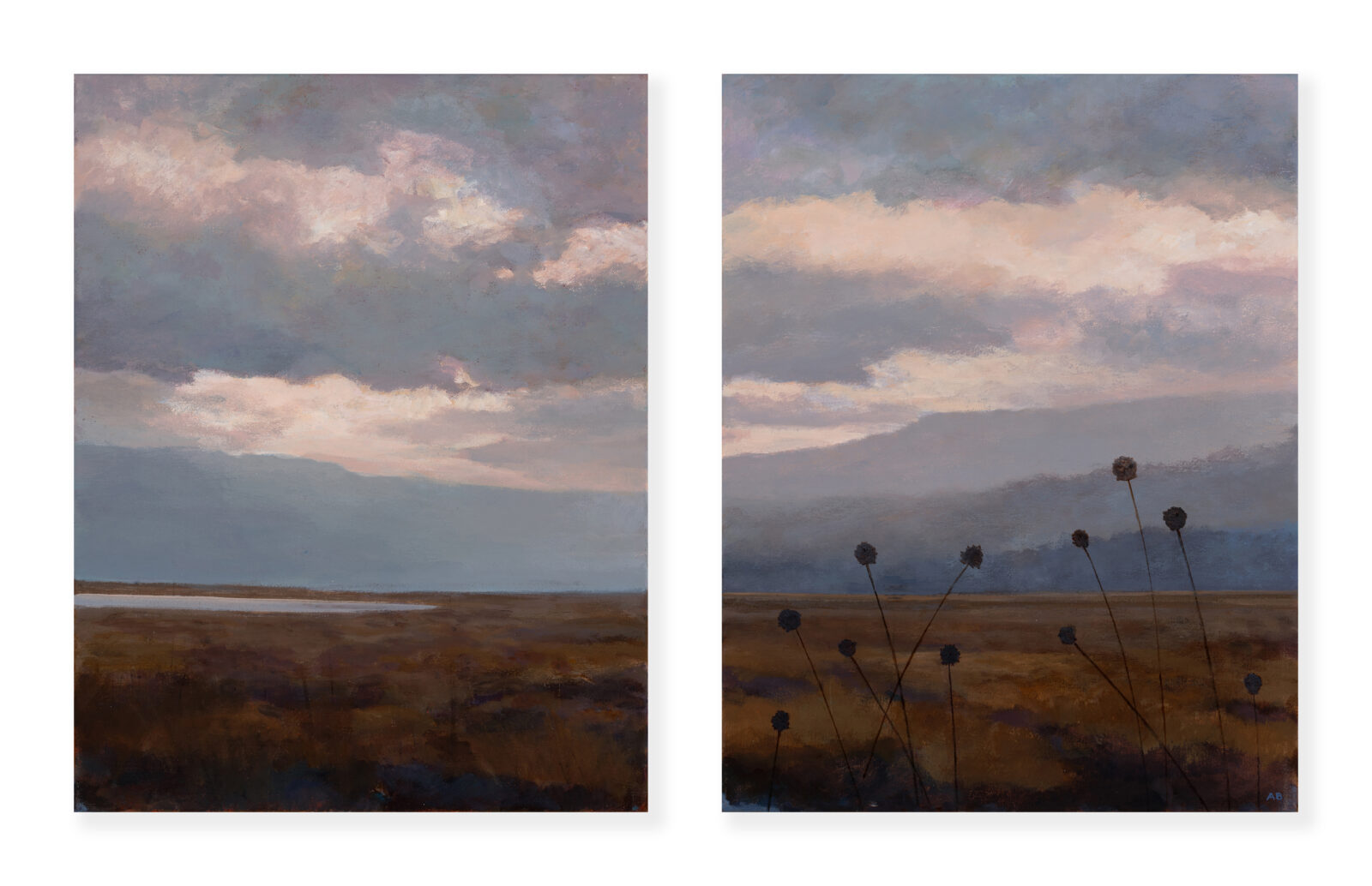 Buttongrass, Immersion