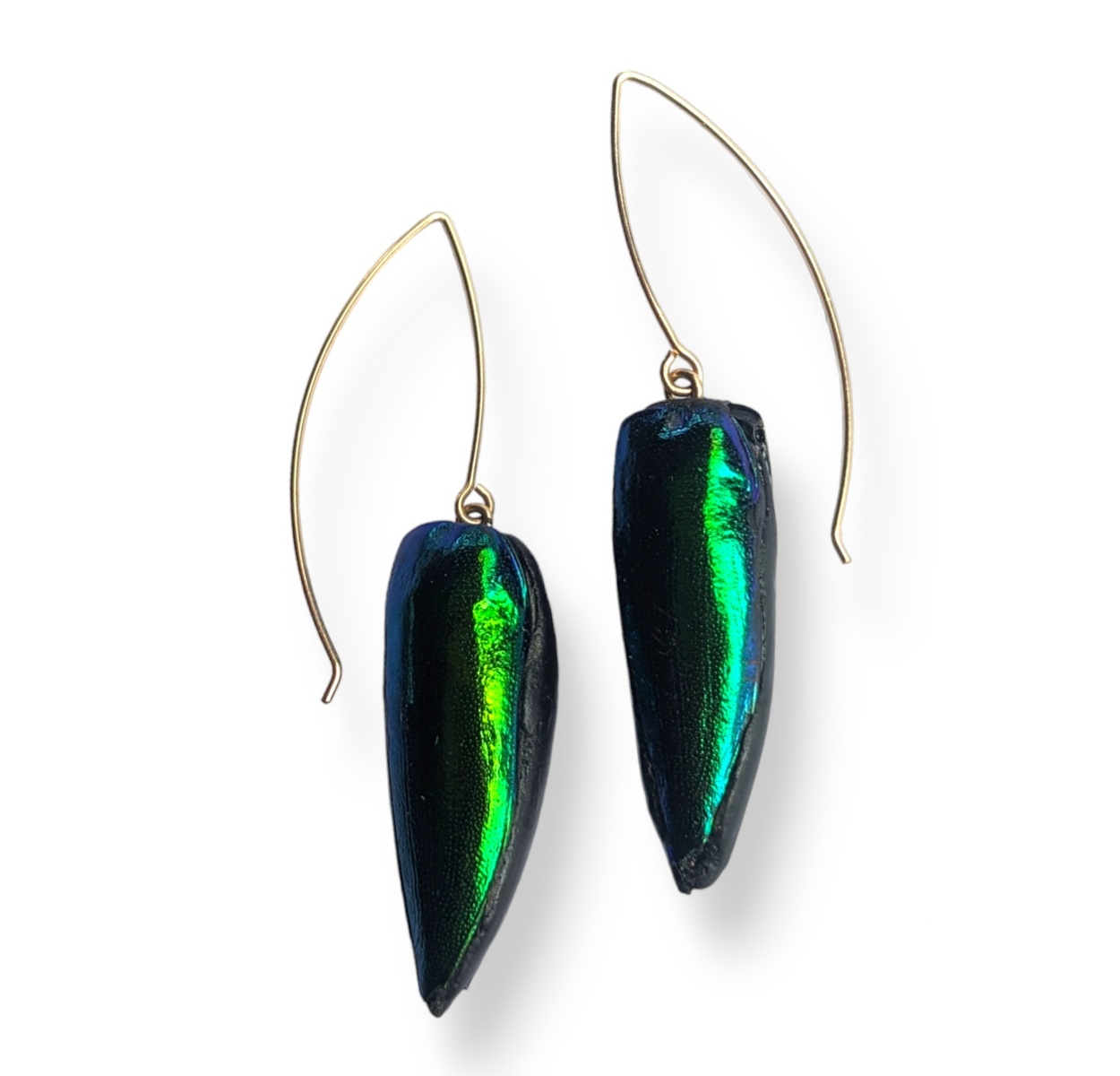 Eyltra Beetle Wing earrings