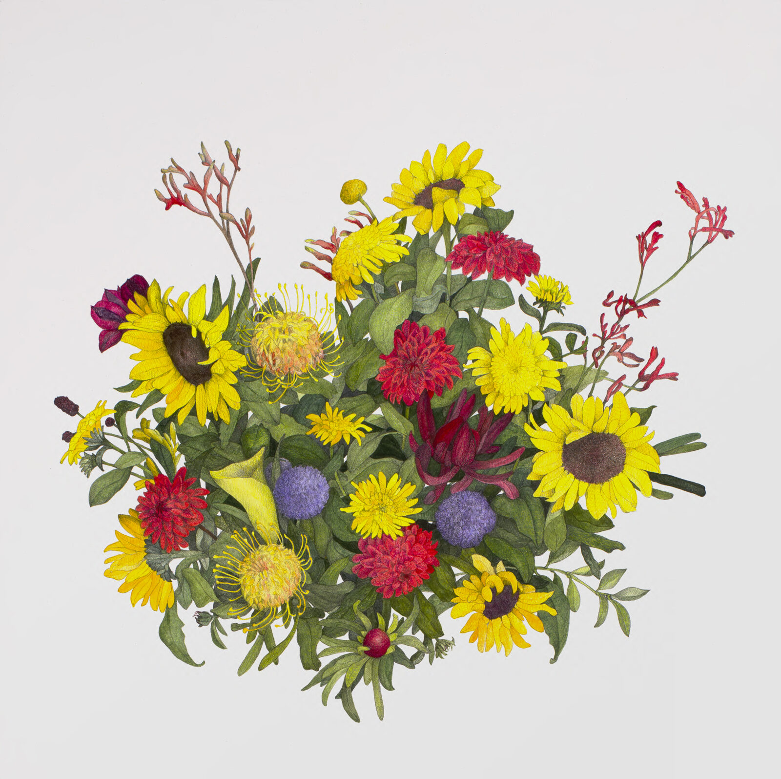 light chrome + kangaroo paw