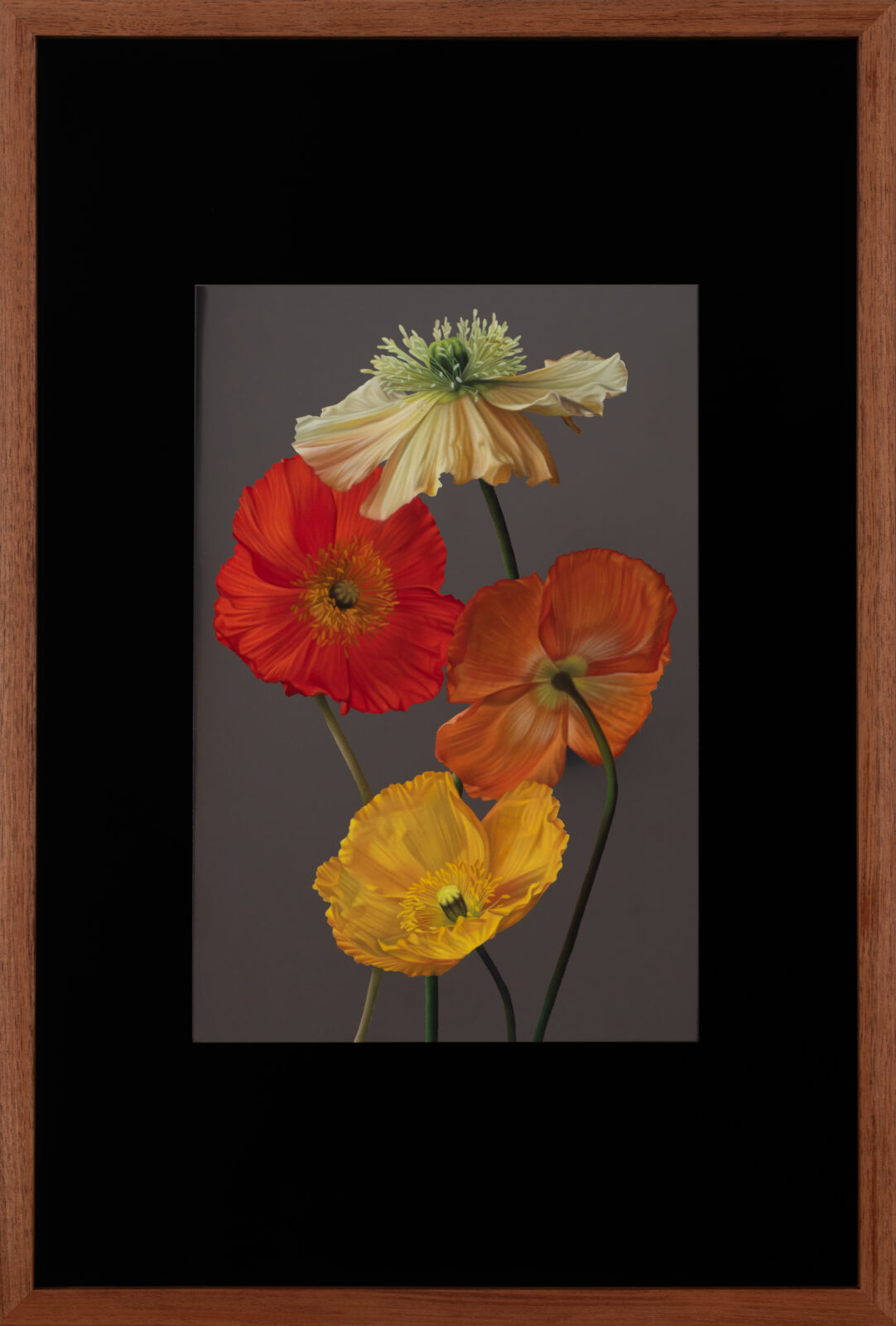 Four Poppies