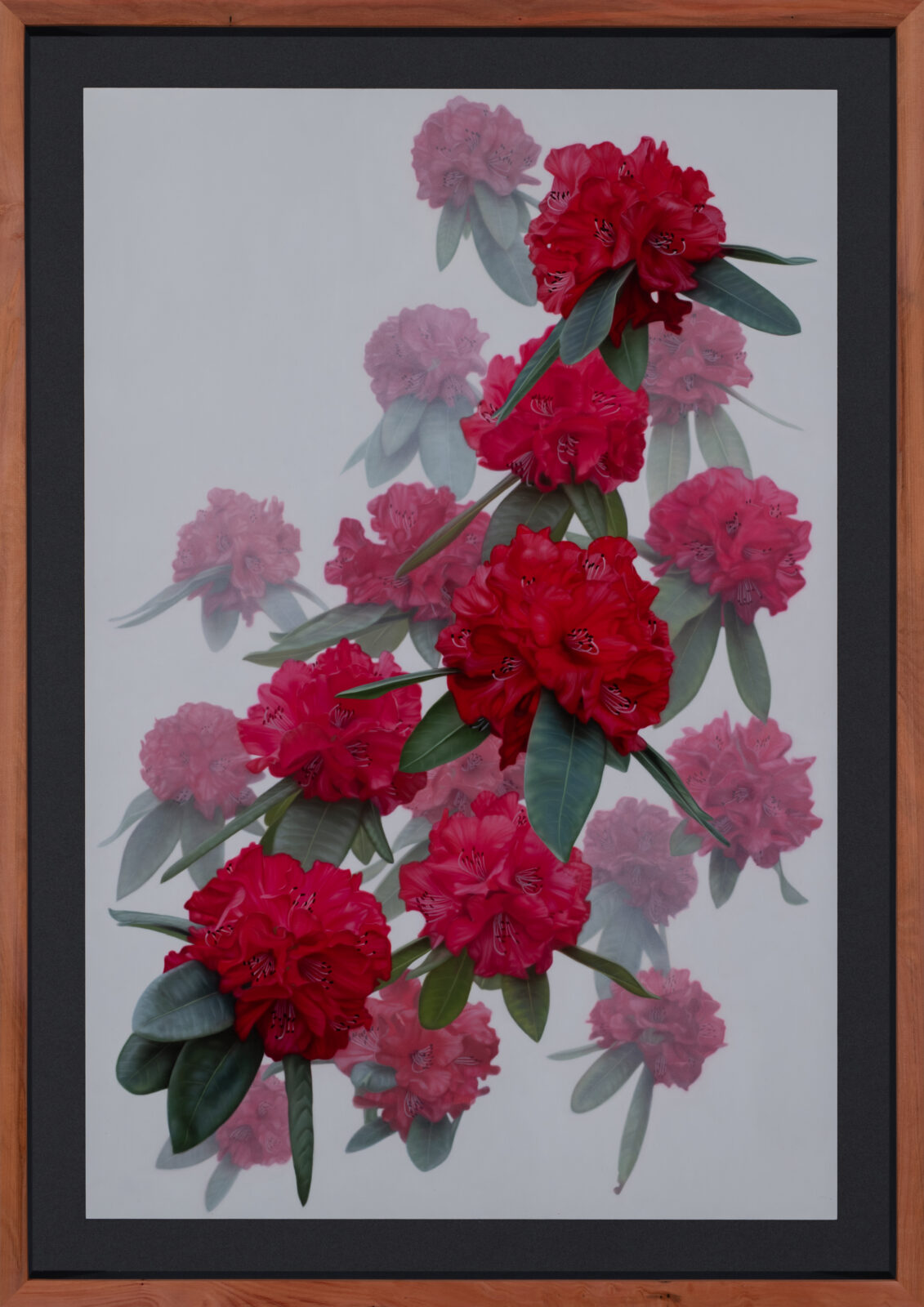 Rhodos in the Mist / The Bloom,