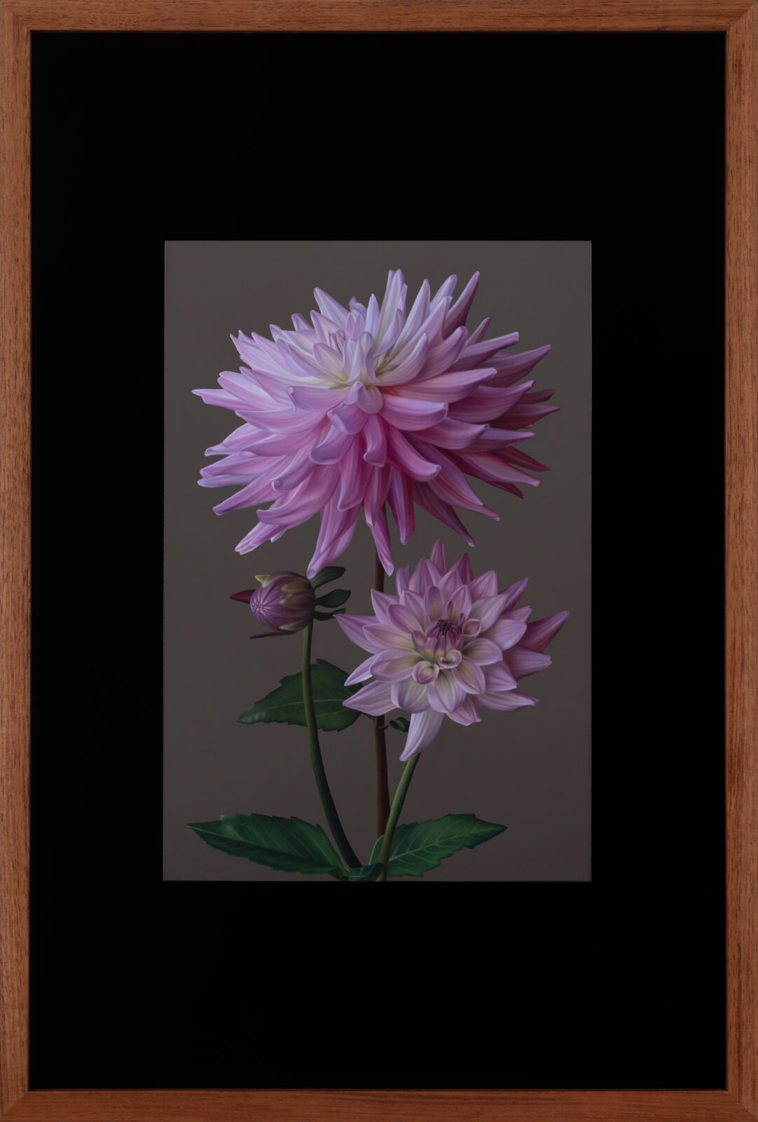 spikey dahlias,