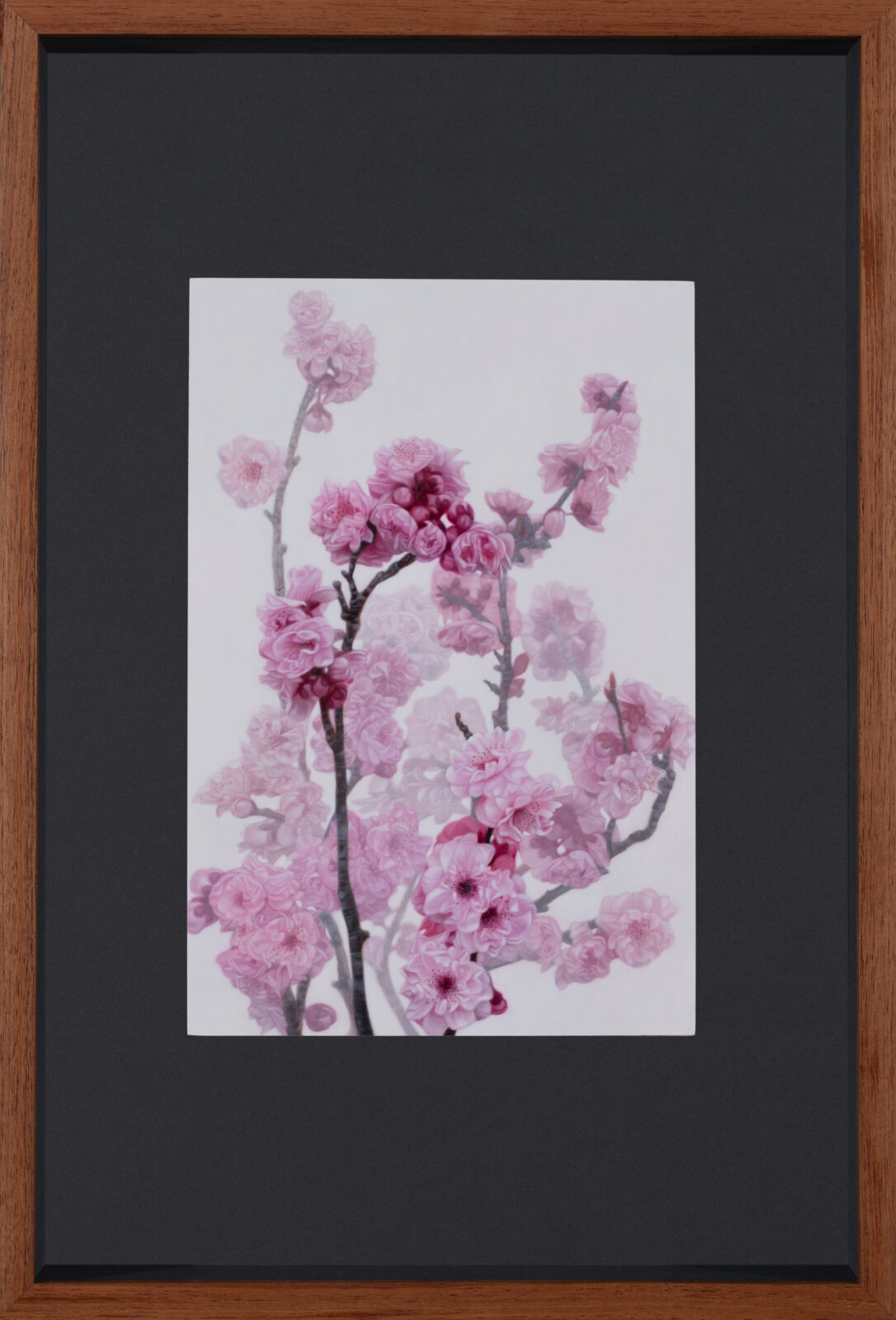 Blossom in the Mist,