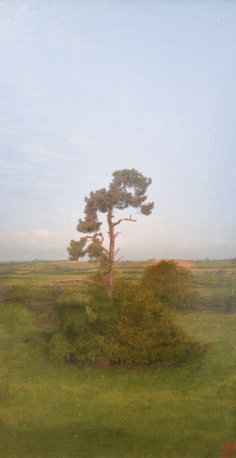 A final birdcall, the day ends with a small signature of sound