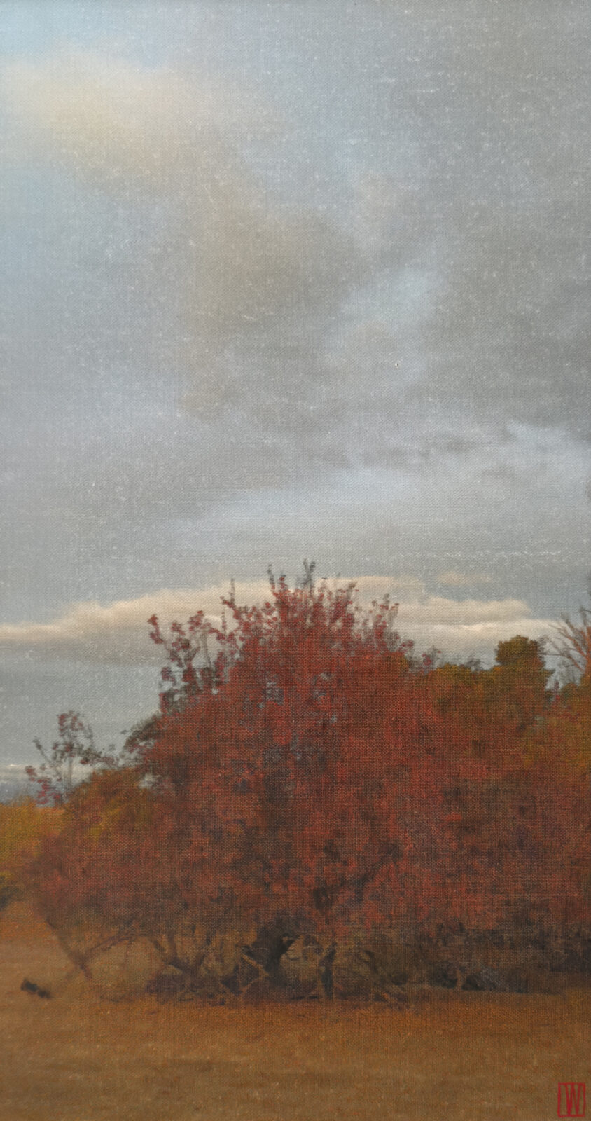 Days accumulate softly