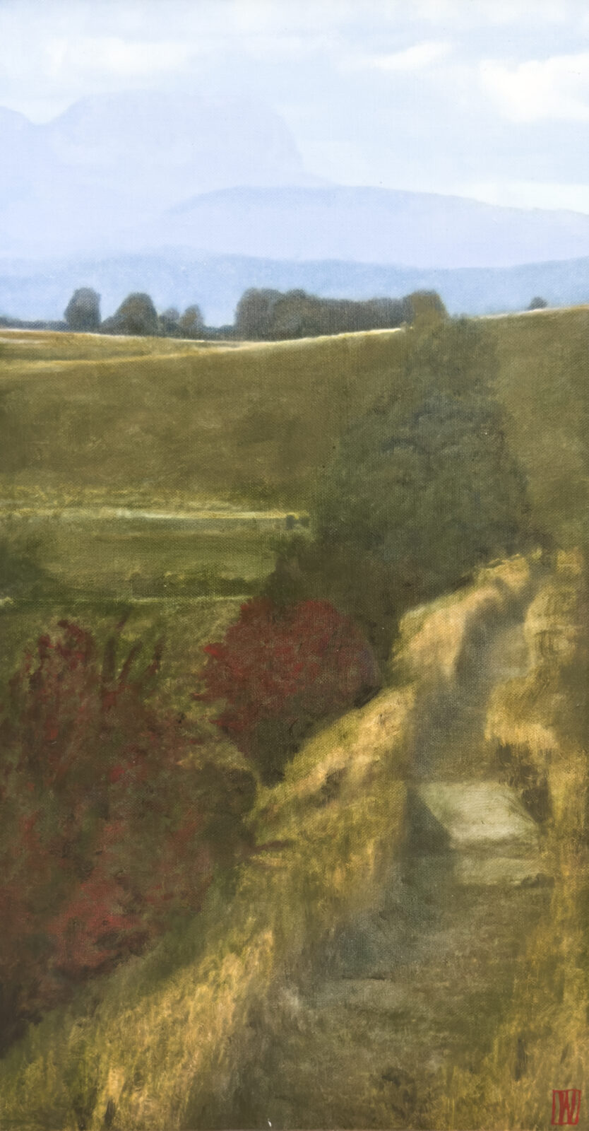 Light moves like thought across stubble