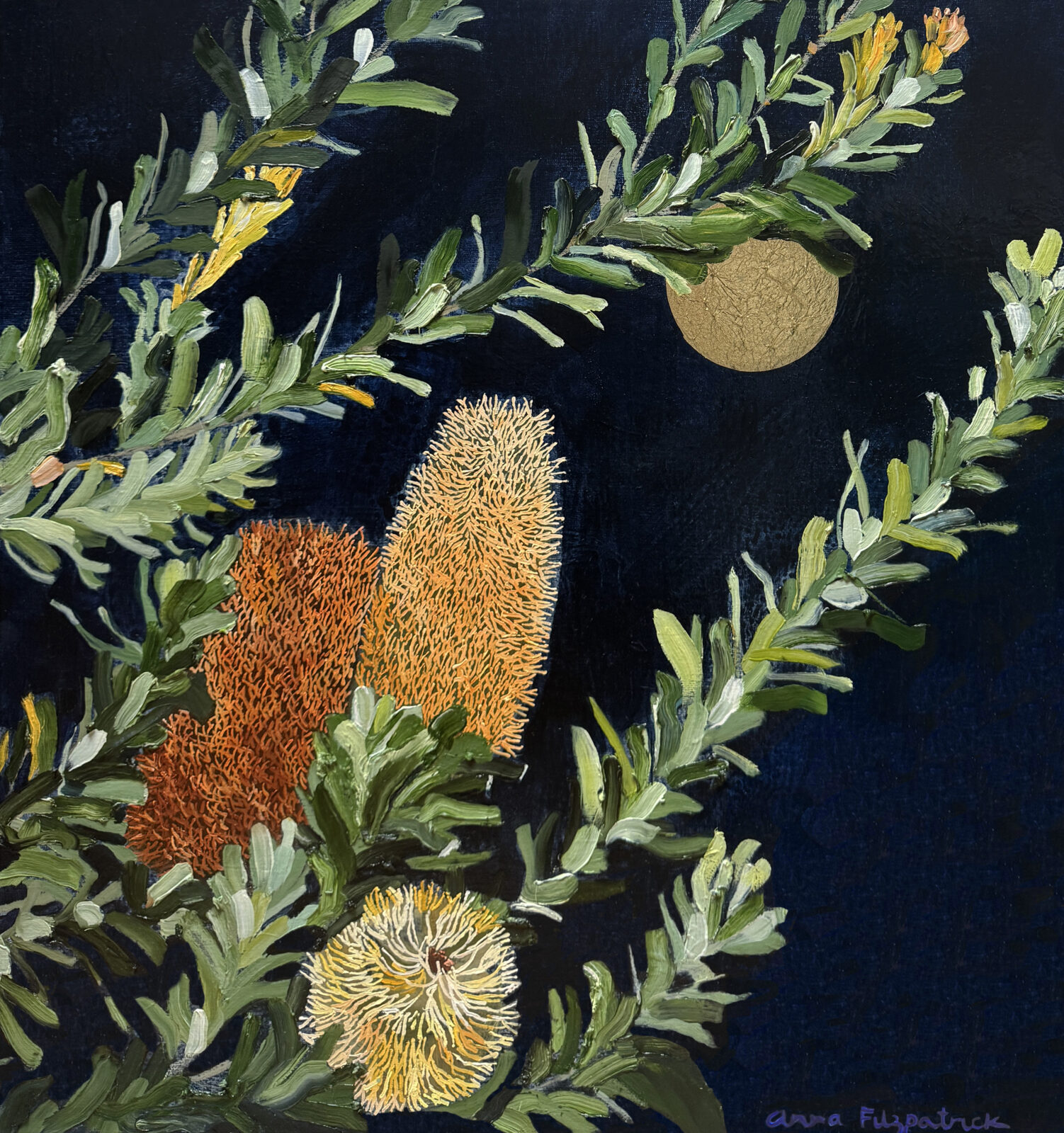 Banksia Embers