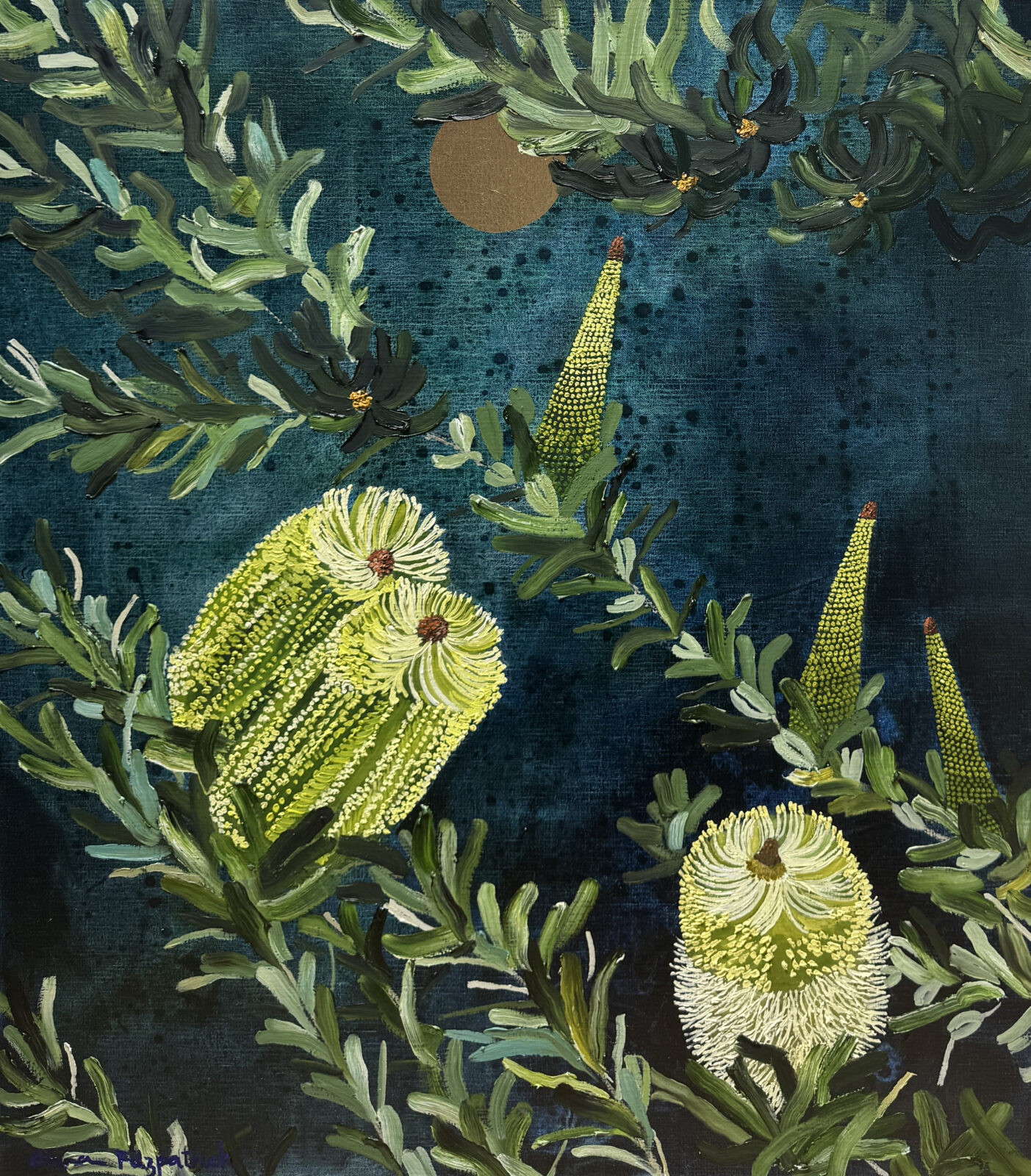 Banksia Primorsa, Nightfall