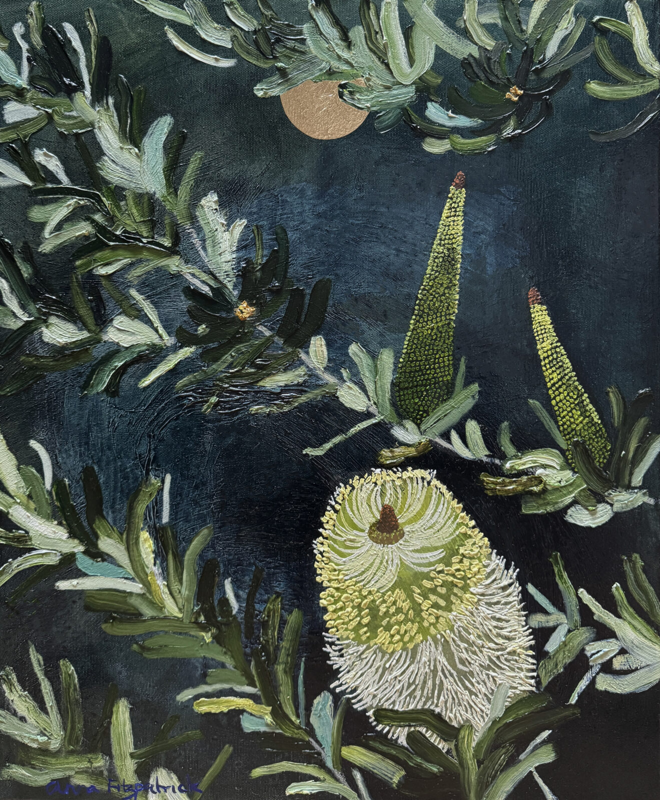 Banksia Primorsa and Full Moon