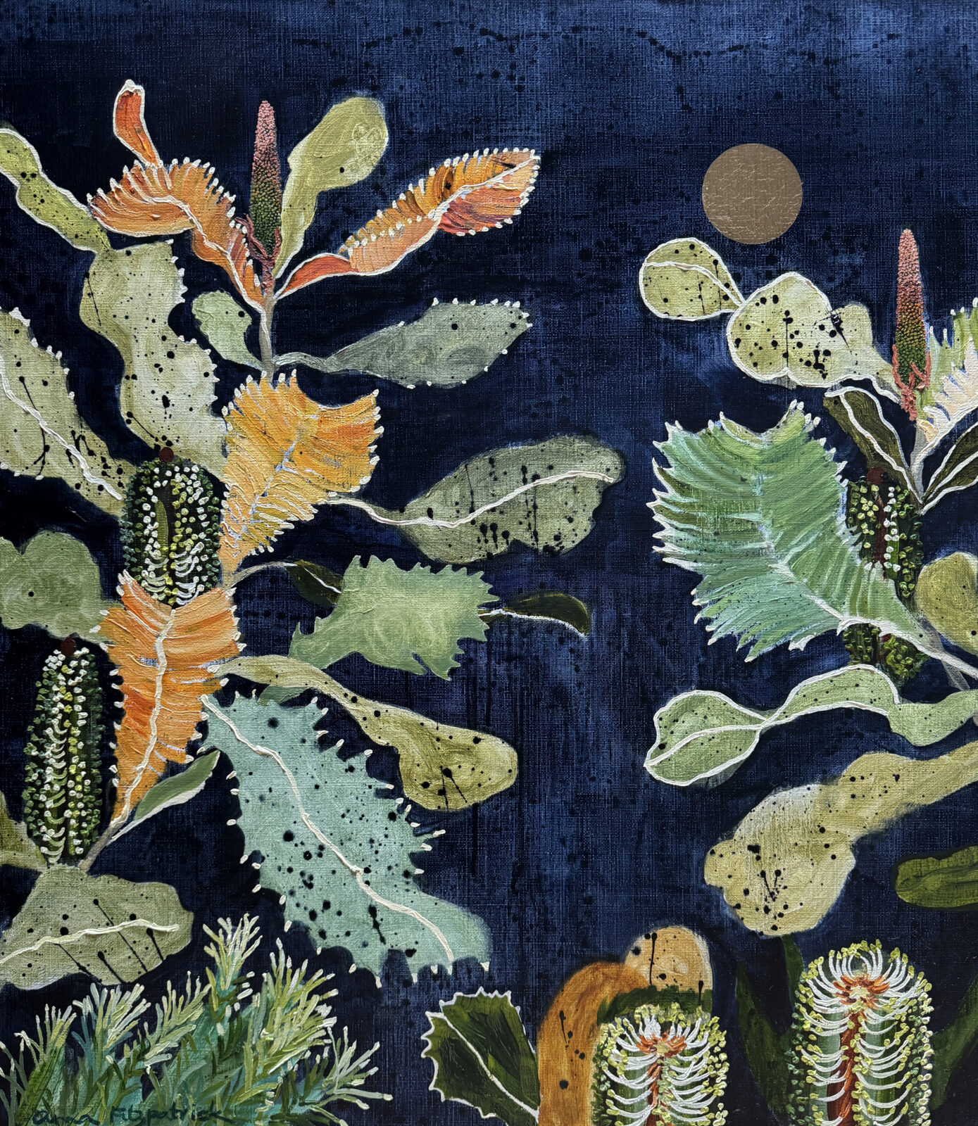 Banksia Robur with Full Moon