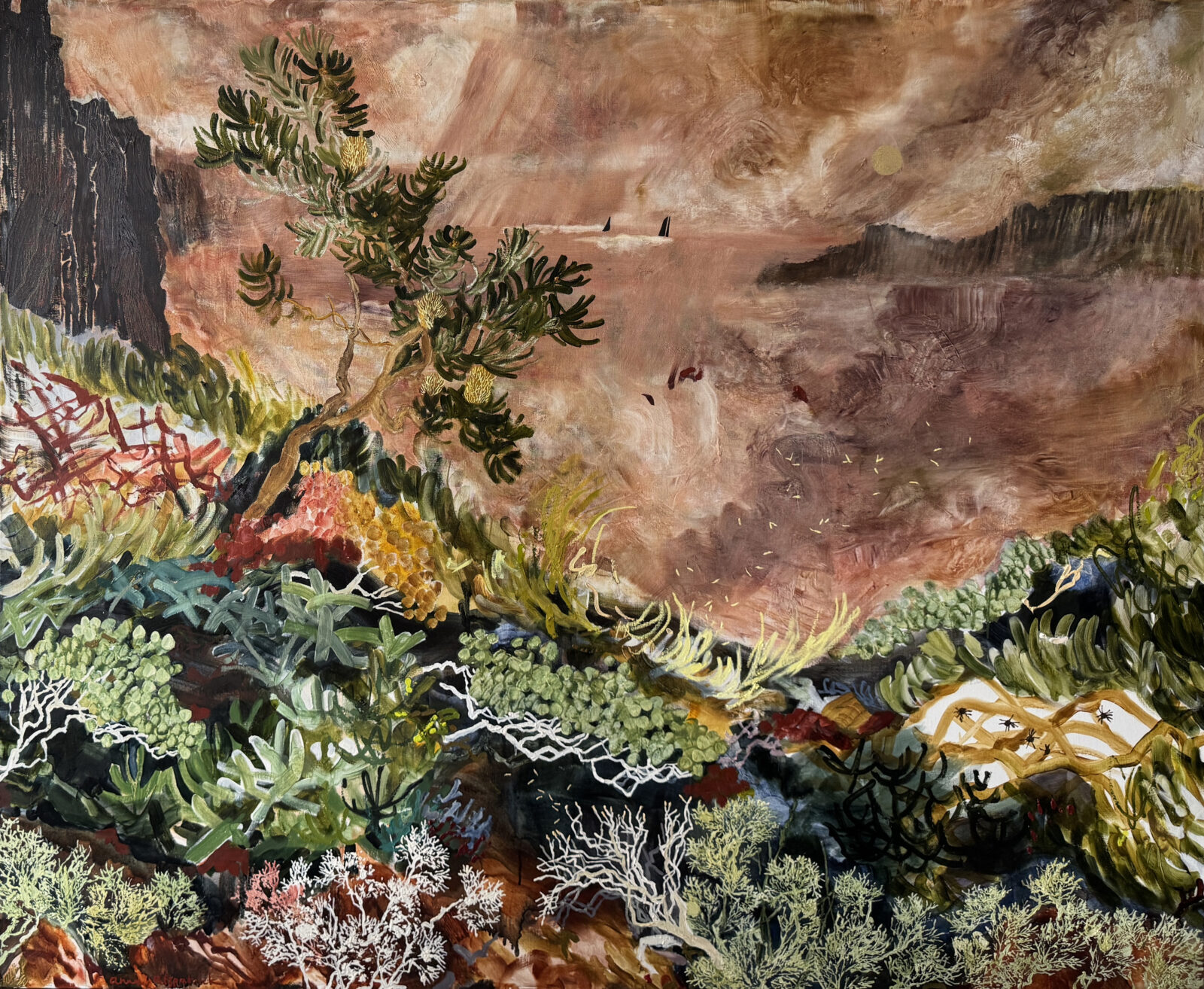 Beyond the Headlands