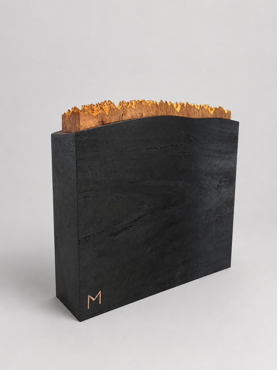 Document holder
