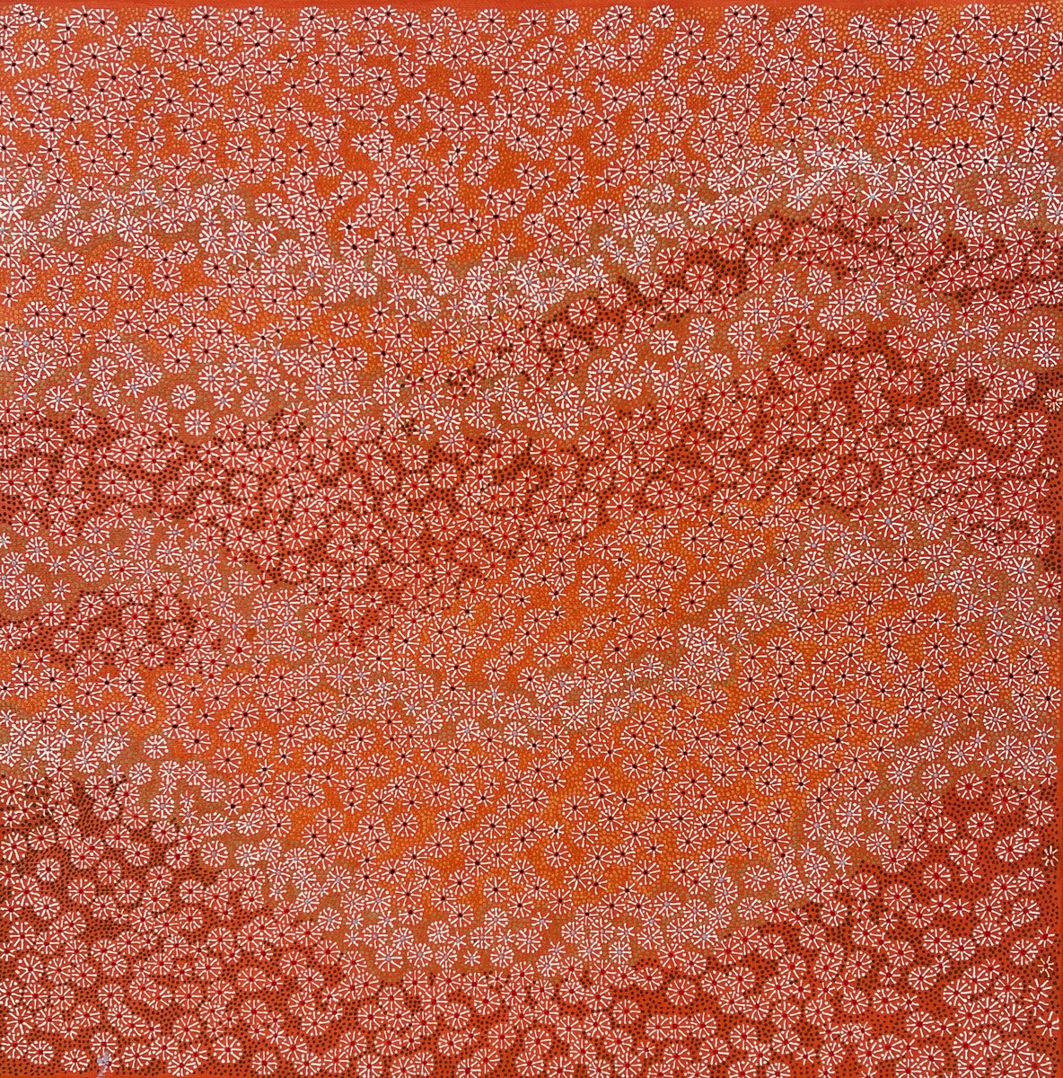 The flowering