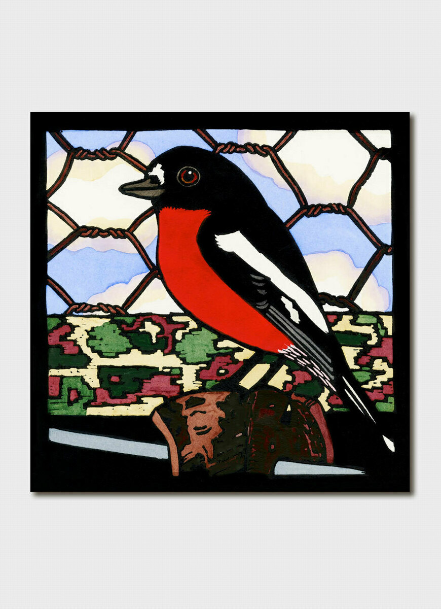 Flame Robin