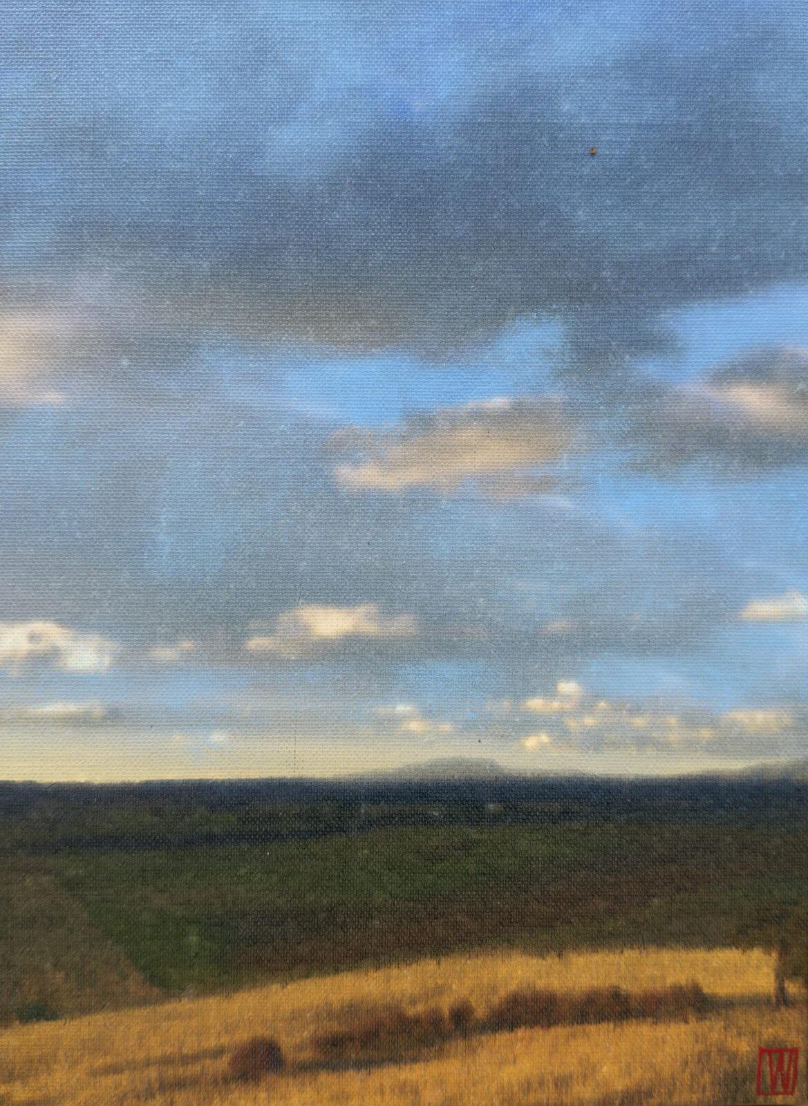 Grazing Light