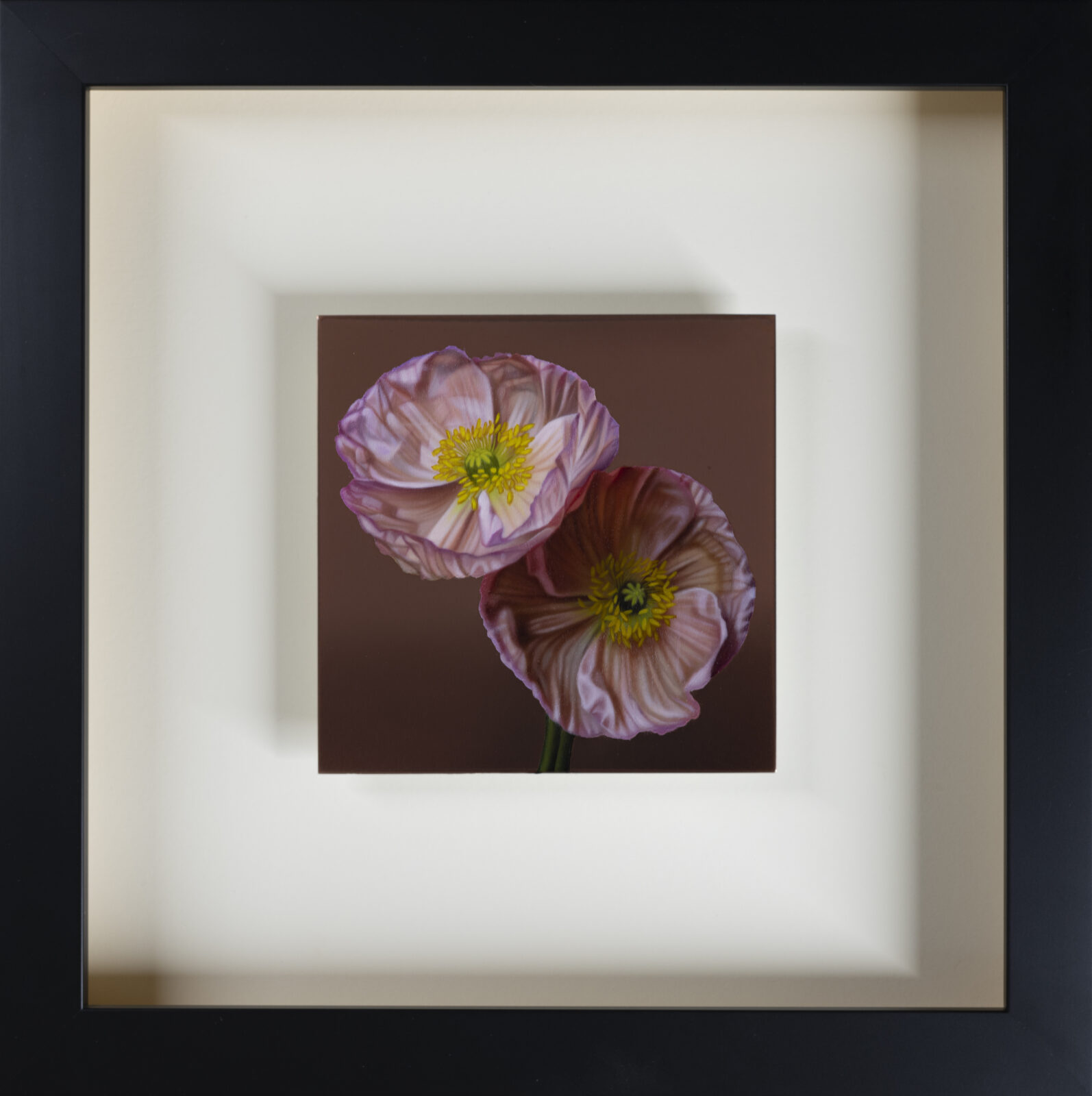 Poppies