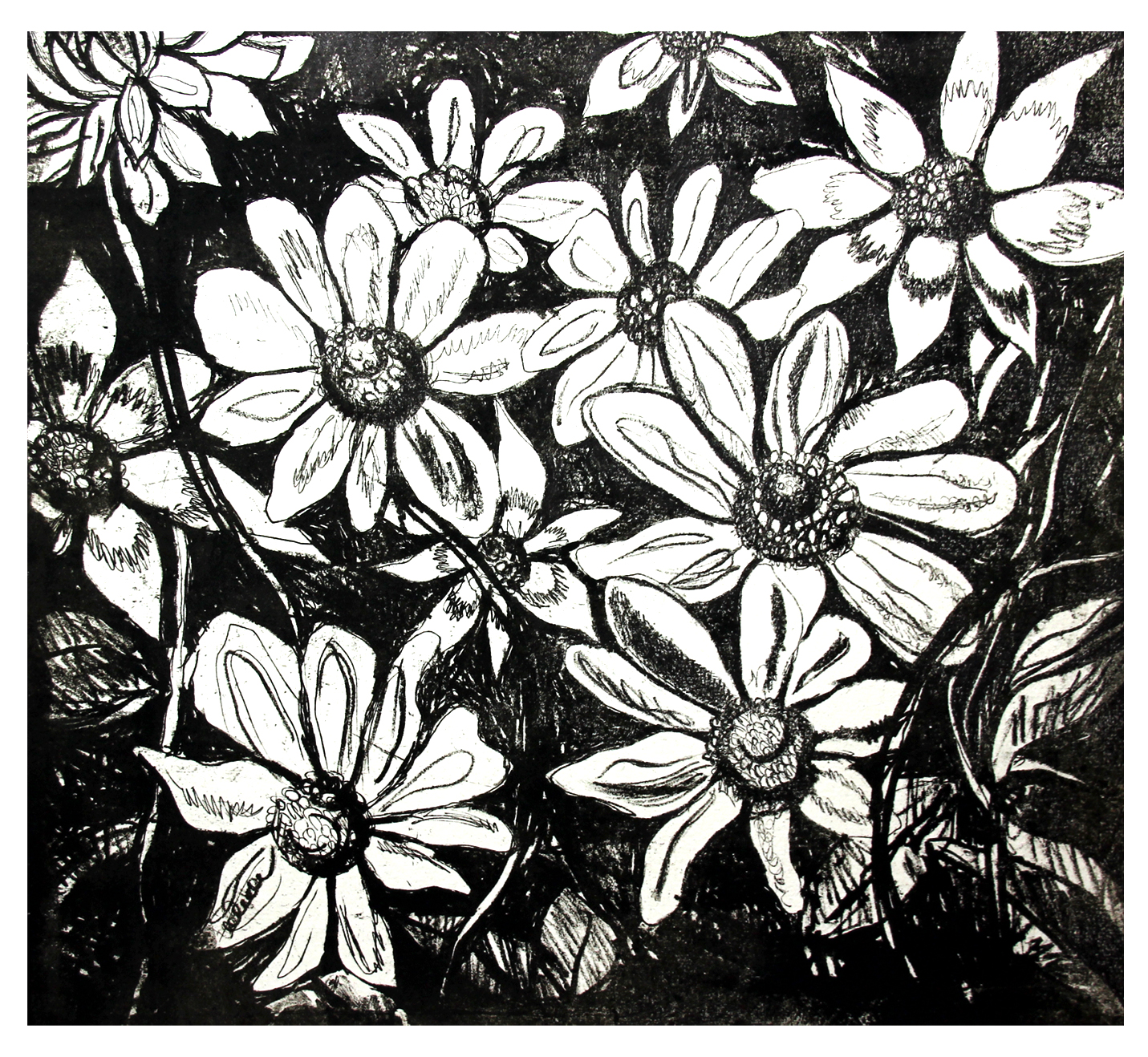 Rudbeckia II