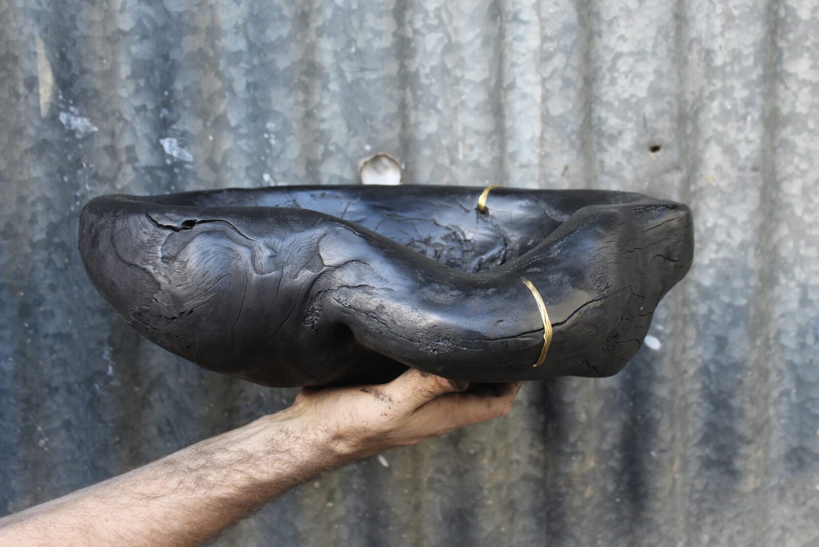 Burnt Eucalypt