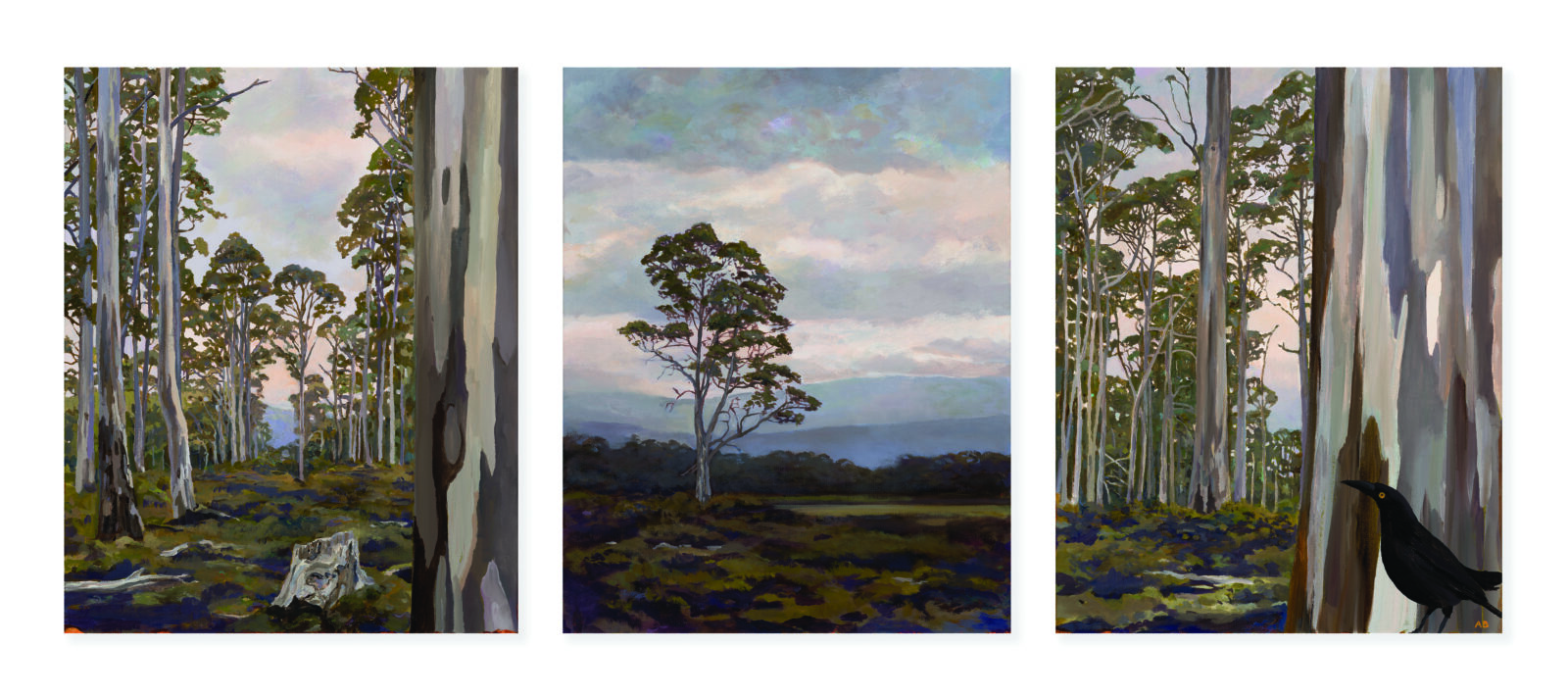 Survivors, White Gum Forest, Pine Tier