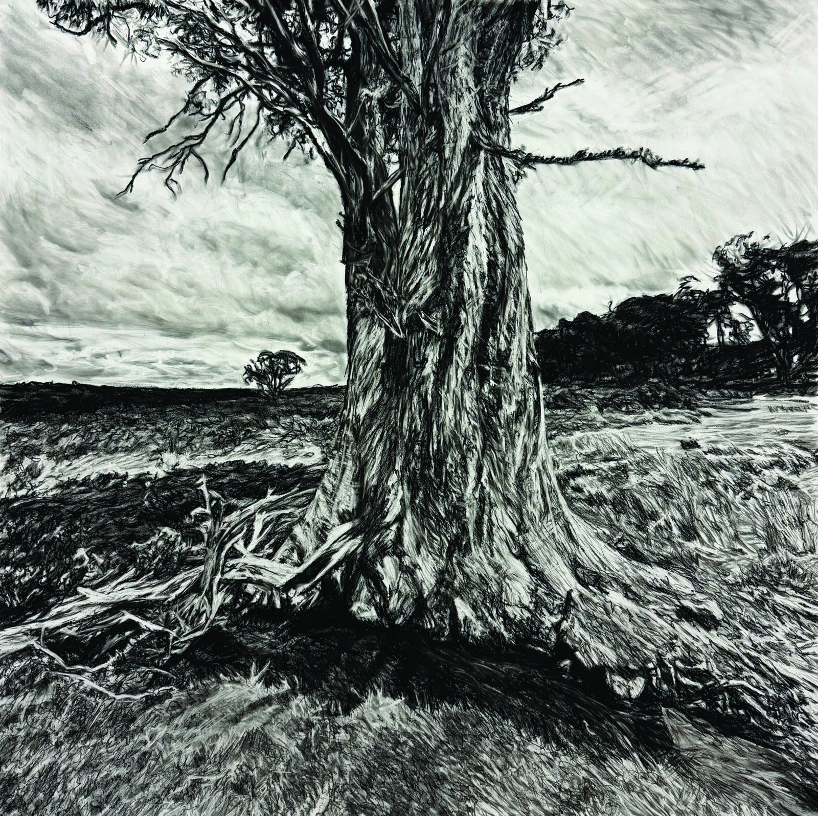 Numen: After Heysen