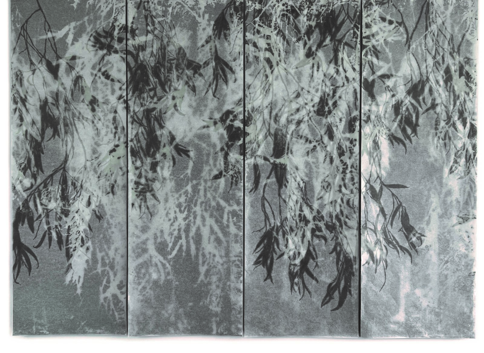 dawn whispers - White Gum Forest