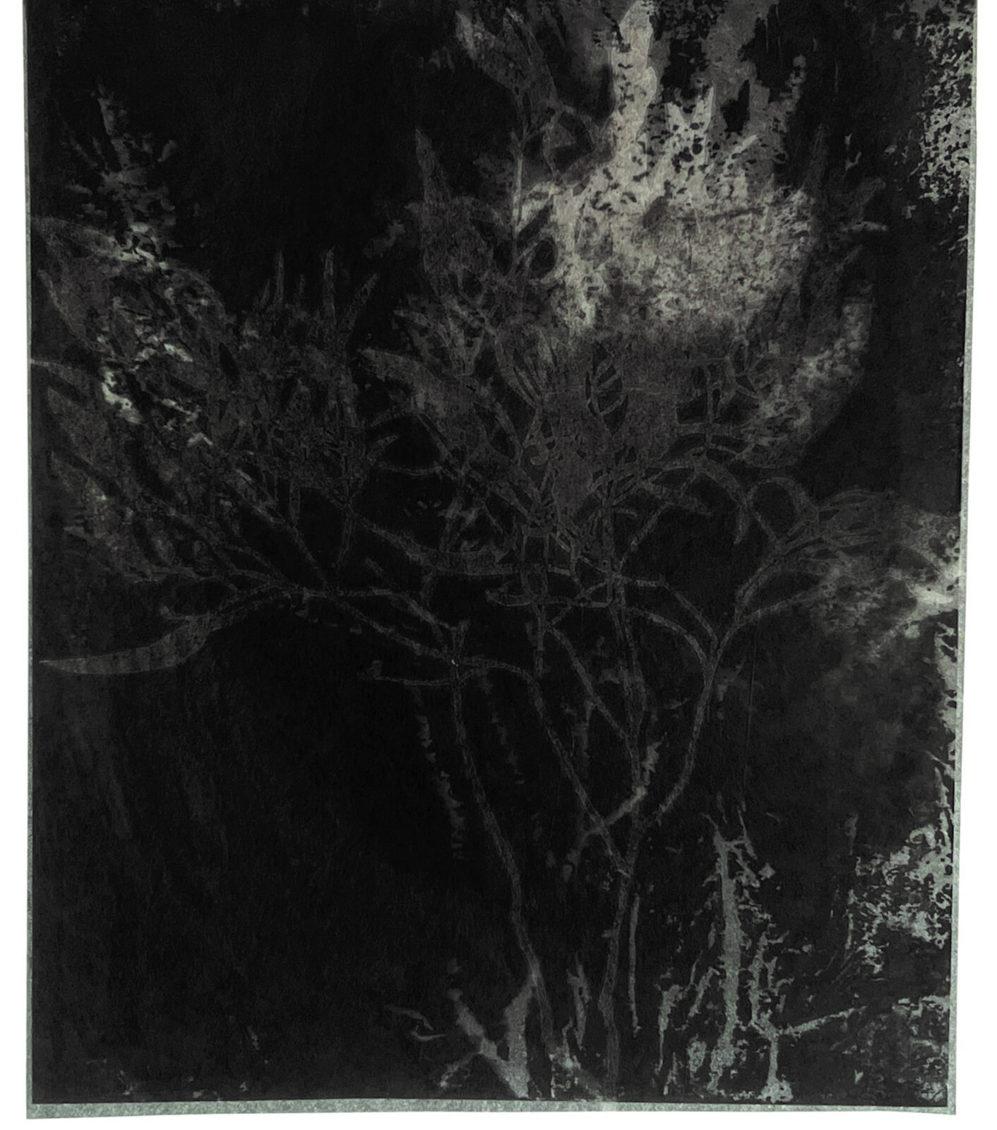 night fall - One Tree Hill (2)
