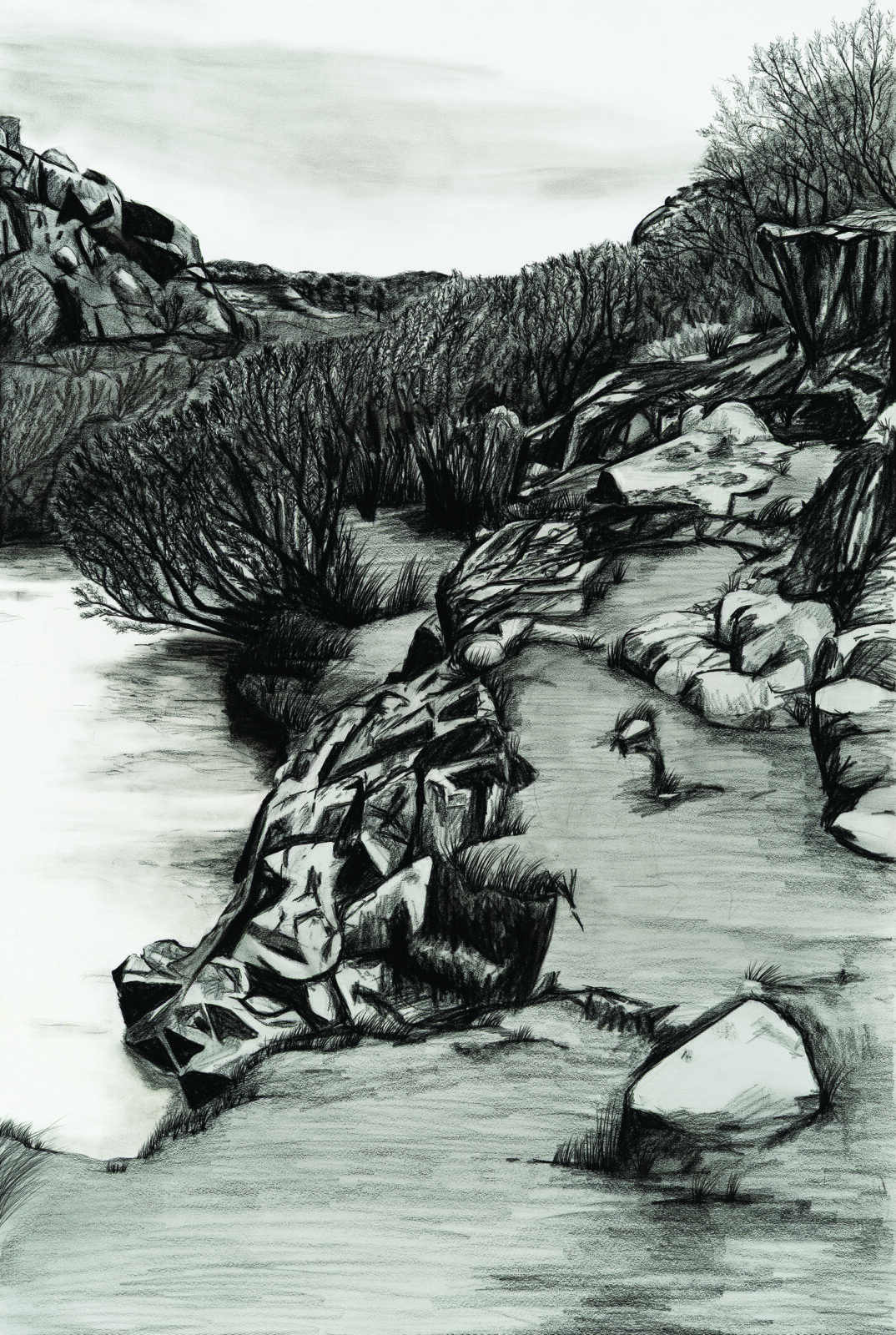 On the edge of Kenneth Creek