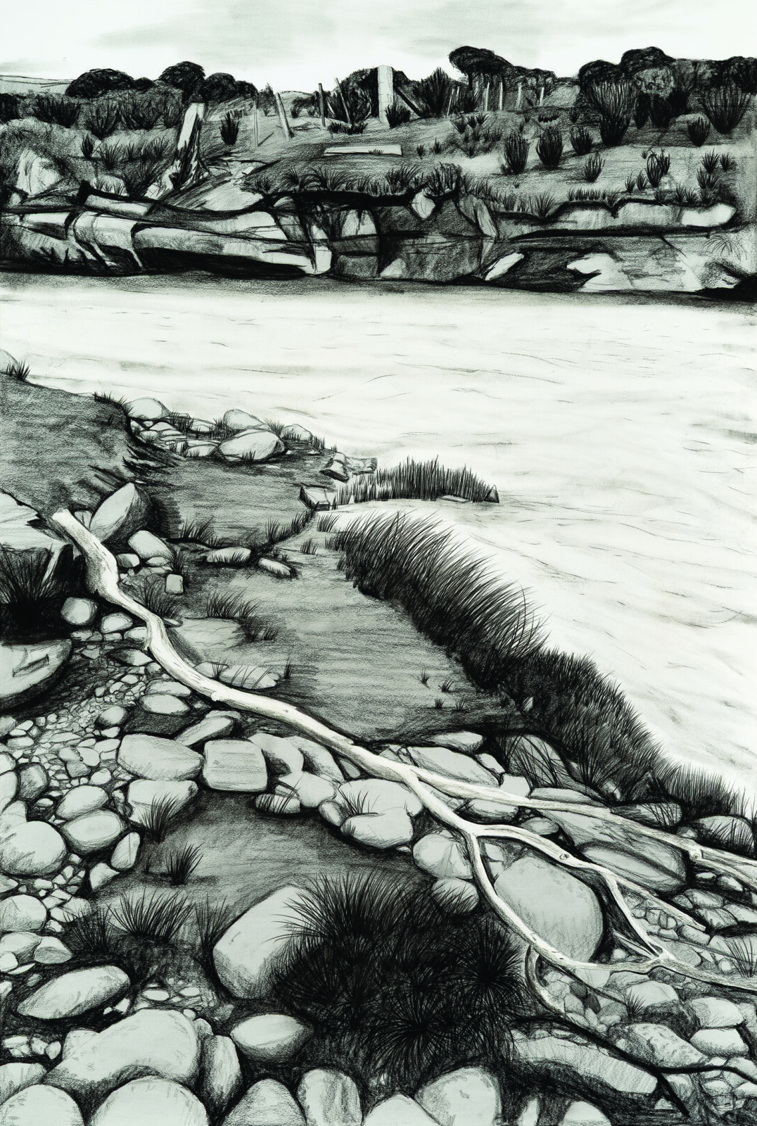 Stick on the banks of the Nive