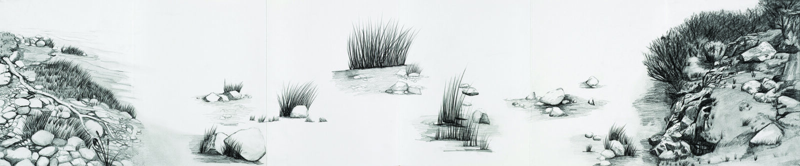 of rocks and grasses